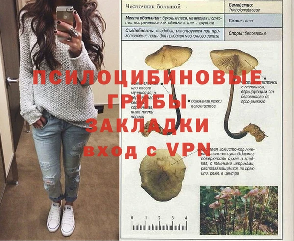 а пвп мука Абдулино