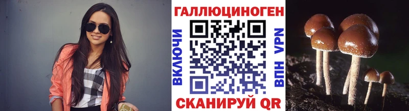 где найти   Костомукша  Псилоцибиновые грибы прущие грибы 